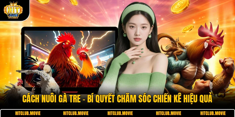 Cách Nuôi Gà Tre - Bí Quyết Chăm Sóc Chiến Kê Hiệu Quả